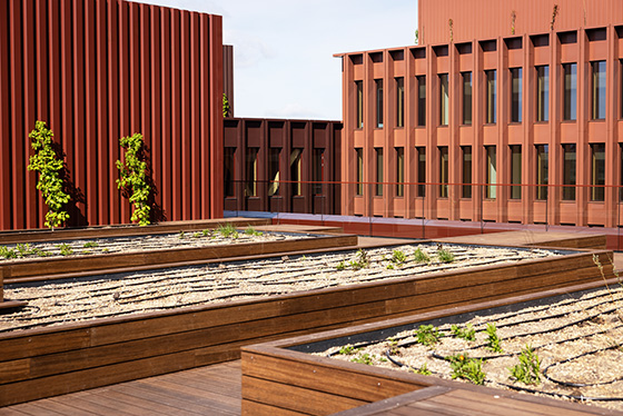 WoodHub, tag terrasse i Bambus